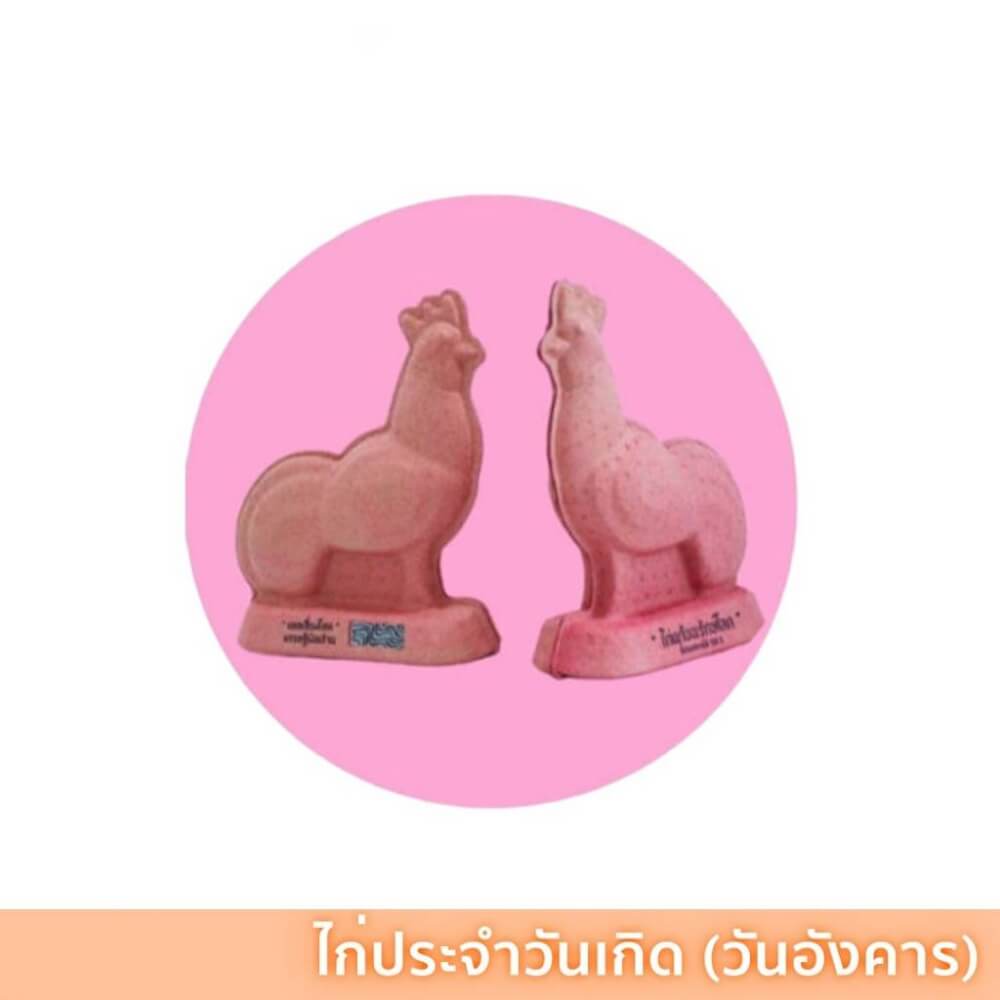 ไก่แก้บน ไก่บนบาน สีประจำวันเกิด วันอังคาร ย่อยสลายได้100%